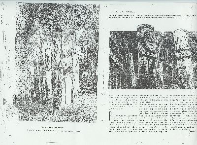 [page image]
